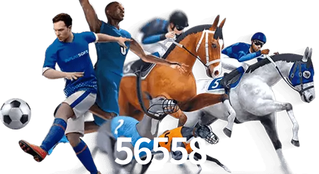 56558
