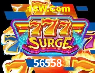 Login Interface