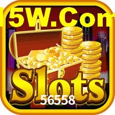 Premium Interface 56558