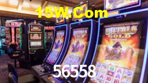 Experimente o Login Seguro Premium no 56558